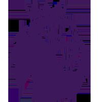 Ӣ�� ����vs������20250927