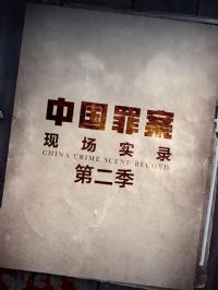 �ﰸ�ֳ�ʵ¼�ڶ���