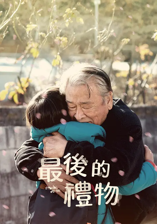 �������Ӱ�ӽ�˵��