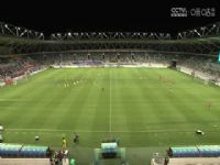 �������� ������������VS��ͨ�������Ե 20240602