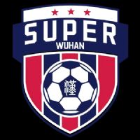 �人�������򳬼�������У�� �人����ְҵѧԺ0.2�人������ѧ20251024