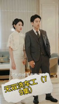 ��˫ϴ����