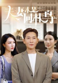 ���ޱ���ͬ����